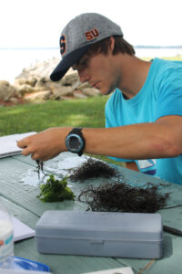 Student studying undersea flora